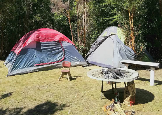 Camping y Fogata