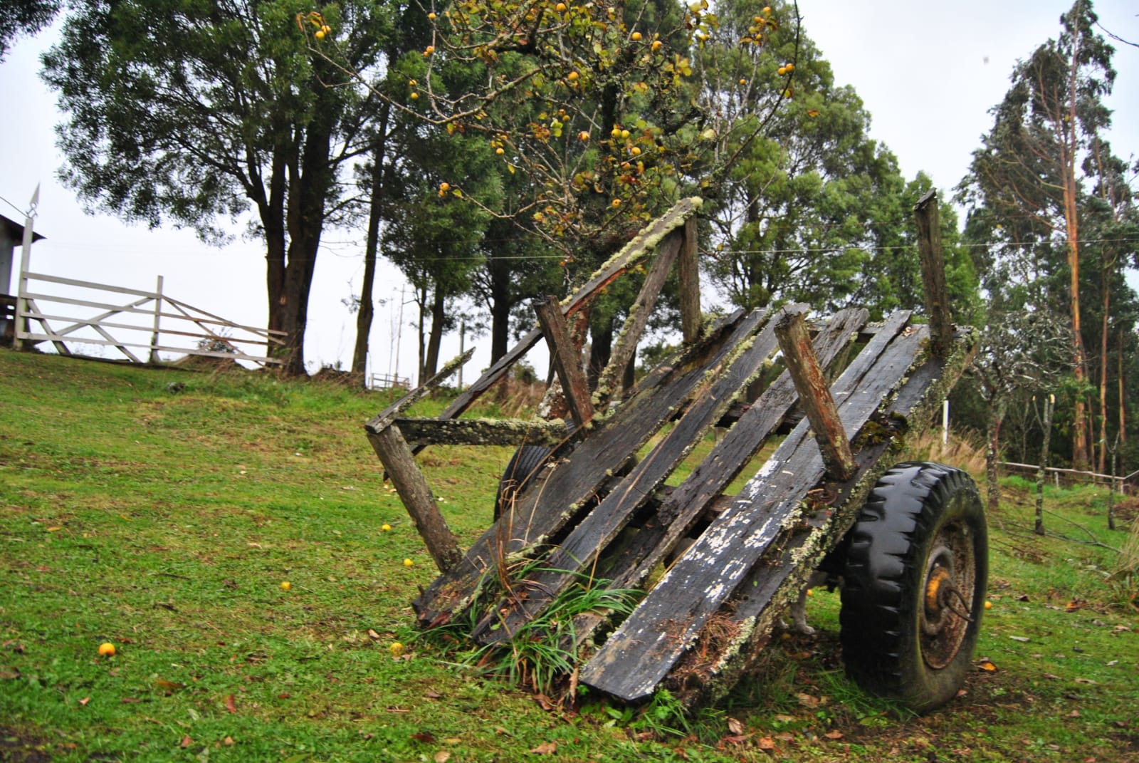 parque_camping_el_embrujo_calbuco_01